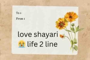 love shayari😭 life 2 line