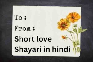 short love shayari in hindi