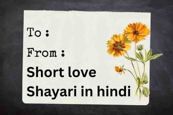 short love shayari in hindi