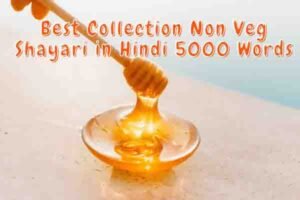 Best Collection Non Veg Shayari in Hindi 1 Best Collection Non Veg Shayari in Hindi 5000 Words