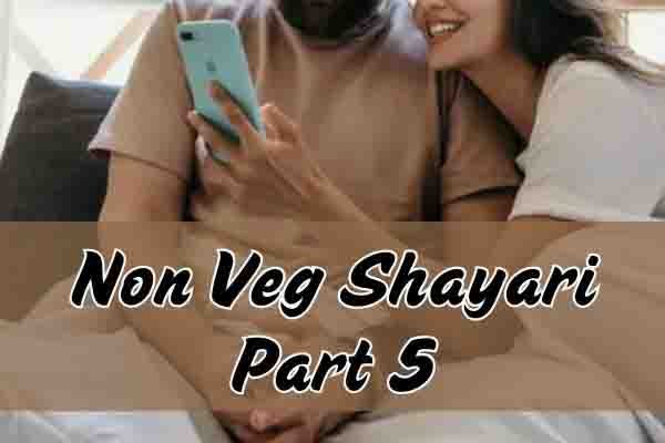 Non Veg Shayari Part 5