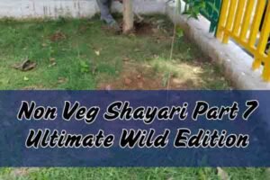 Non Veg Shayari Part 7 Ultimate Wild Edition 1 Non Veg Shayari Part 7 Ultimate Wild Edition