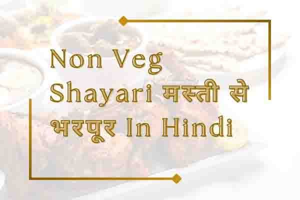 Non Veg Shayari मस्ती से भरपूर In Hindi