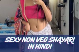 Sexy Non Veg Shayari in Hindi 1 Sexy Non Veg Shayari in Hindi